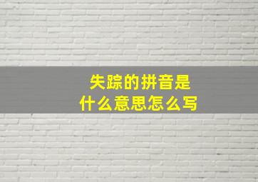 失踪的拼音是什么意思怎么写