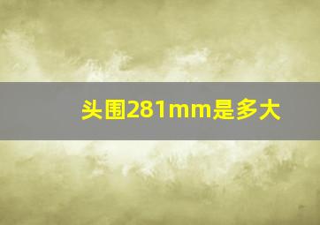 头围281mm是多大