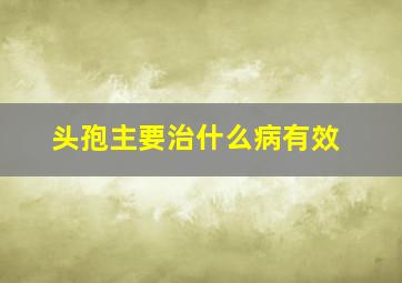 头孢主要治什么病有效