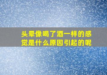 头晕像喝了酒一样的感觉是什么原因引起的呢