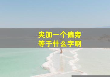 夹加一个偏旁等于什么字啊