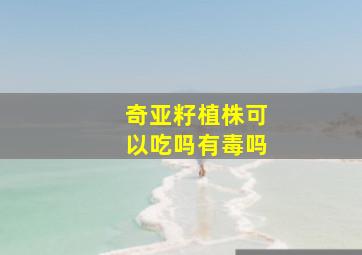 奇亚籽植株可以吃吗有毒吗