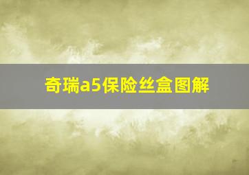 奇瑞a5保险丝盒图解