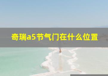 奇瑞a5节气门在什么位置