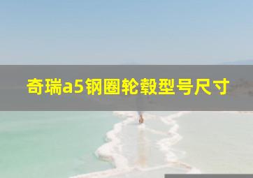 奇瑞a5钢圈轮毂型号尺寸