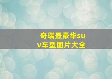 奇瑞最豪华suv车型图片大全