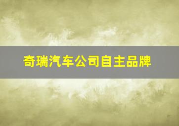 奇瑞汽车公司自主品牌