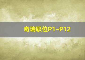 奇瑞职位P1~P12