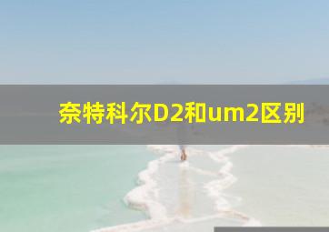 奈特科尔D2和um2区别