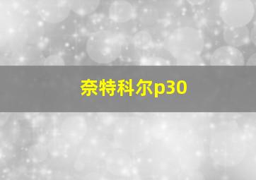 奈特科尔p30