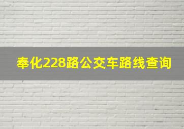 奉化228路公交车路线查询