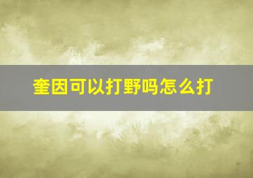 奎因可以打野吗怎么打