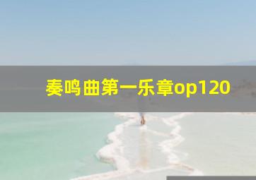 奏鸣曲第一乐章op120