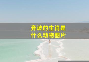 奔波的生肖是什么动物图片