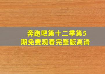 奔跑吧第十二季第5期免费观看完整版高清