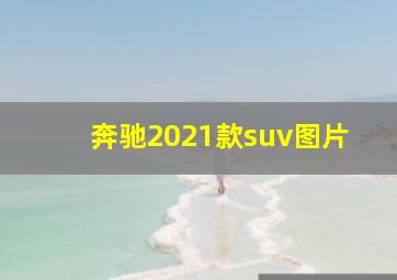 奔驰2021款suv图片