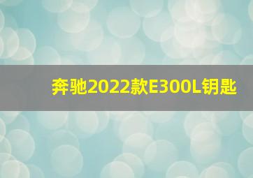 奔驰2022款E300L钥匙