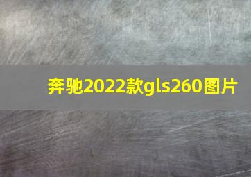 奔驰2022款gls260图片