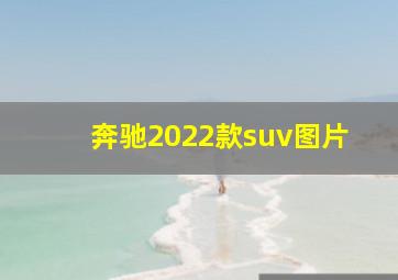 奔驰2022款suv图片