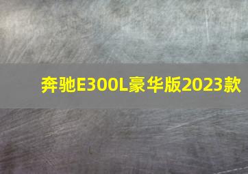 奔驰E300L豪华版2023款