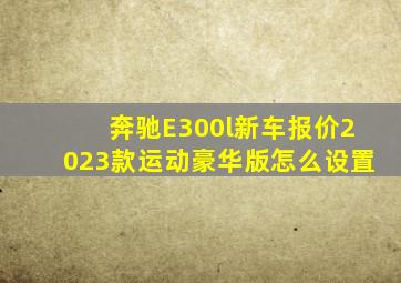 奔驰E300l新车报价2023款运动豪华版怎么设置