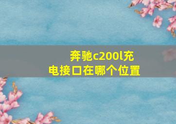 奔驰c200l充电接口在哪个位置