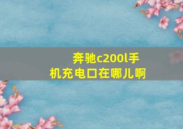 奔驰c200l手机充电口在哪儿啊