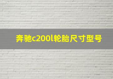 奔驰c200l轮胎尺寸型号