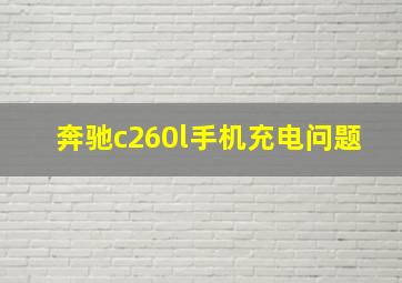 奔驰c260l手机充电问题