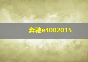 奔驰e3002015