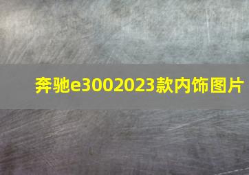 奔驰e3002023款内饰图片