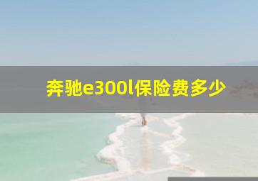 奔驰e300l保险费多少