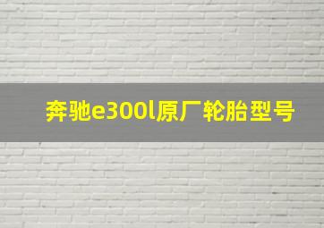 奔驰e300l原厂轮胎型号