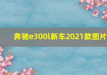 奔驰e300l新车2021款图片