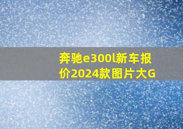 奔驰e300l新车报价2024款图片大G