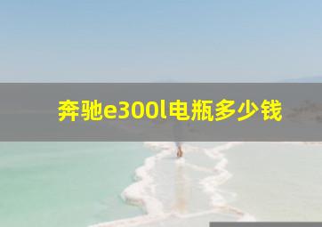 奔驰e300l电瓶多少钱