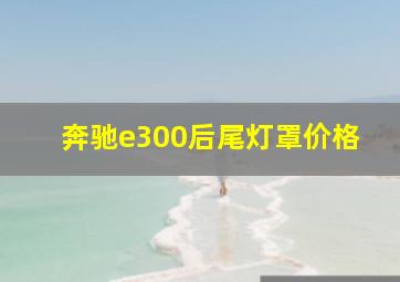 奔驰e300后尾灯罩价格