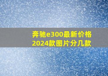 奔驰e300最新价格2024款图片分几款