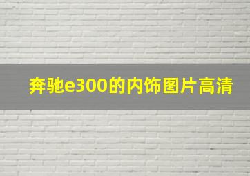 奔驰e300的内饰图片高清