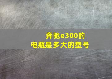 奔驰e300的电瓶是多大的型号