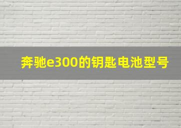 奔驰e300的钥匙电池型号