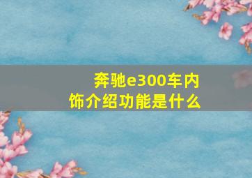 奔驰e300车内饰介绍功能是什么