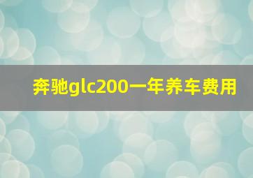 奔驰glc200一年养车费用