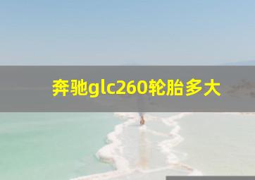 奔驰glc260轮胎多大