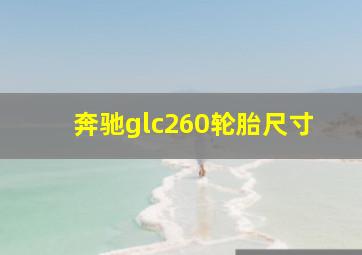 奔驰glc260轮胎尺寸