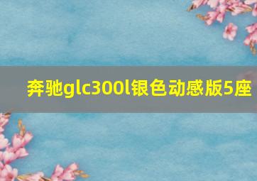 奔驰glc300l银色动感版5座