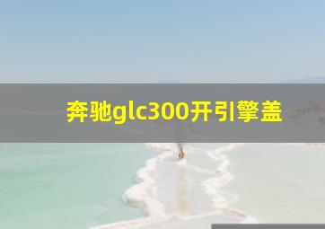 奔驰glc300开引擎盖