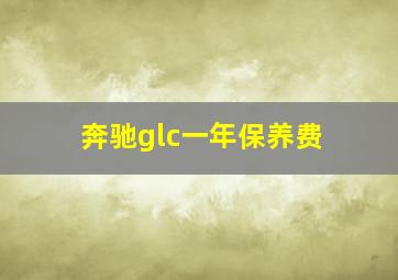 奔驰glc一年保养费