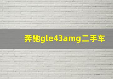 奔驰gle43amg二手车