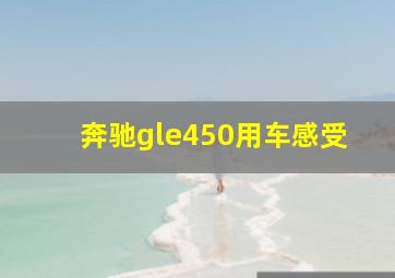 奔驰gle450用车感受